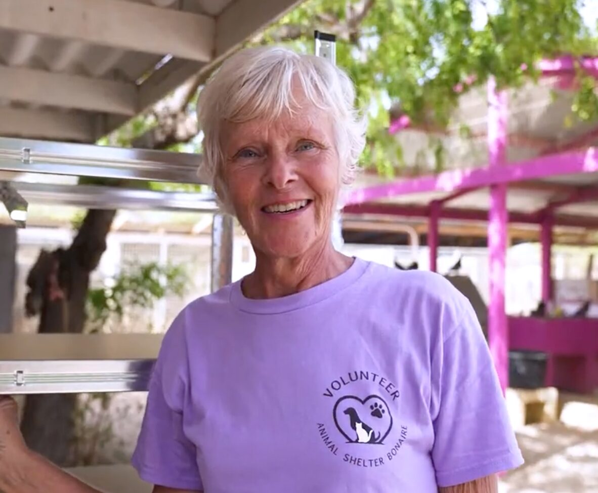Inside The Animal Shelter Ep2 | 01092026